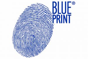 Rozstrzygnięcie konkursu Blue Print