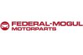 Konkurs Federal-Mogul Motorparts – wygraj tester, gadżety lub klocki hamulcowe
