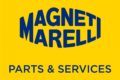 Marelli Aftermarket – Specjalista ds. Szkoleń