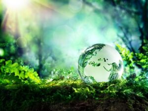 „ECO VISION” – NGK Spark Plug promuje działania na rzecz ochrony środowiska