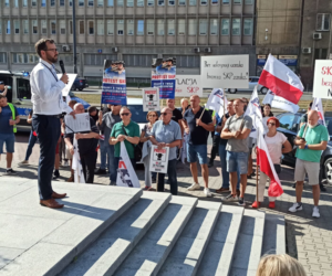 Blisko 300 reprezentantów Stacji Kontroli Pojazdów protestowało w Warszawie